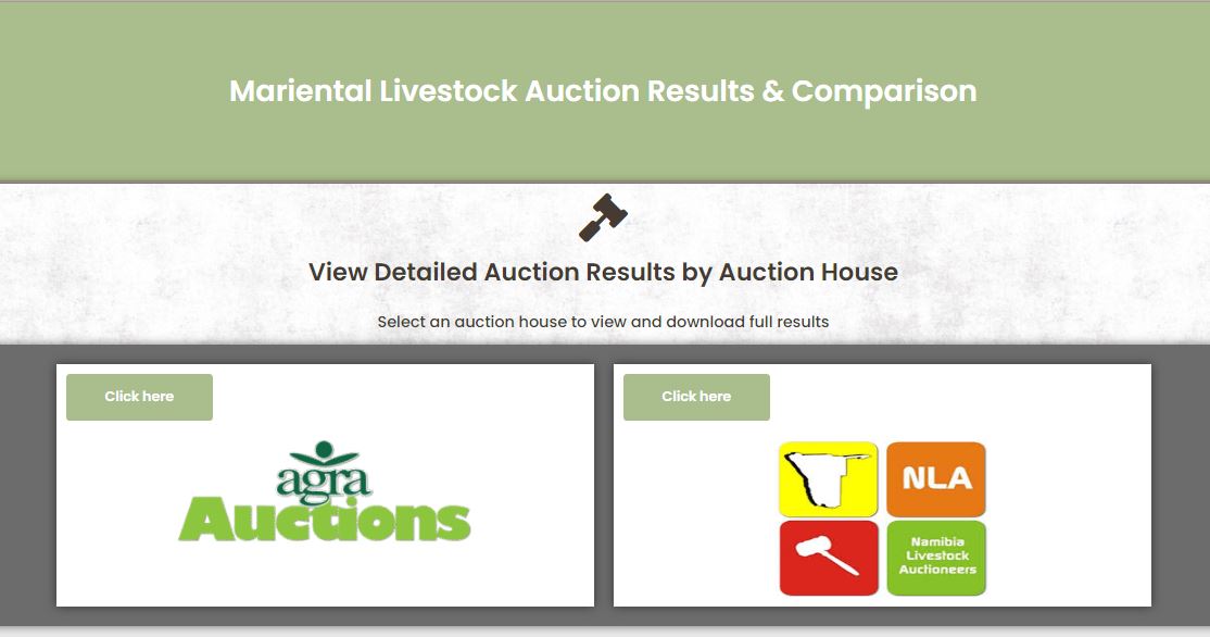 View auction results by auction house